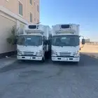 سيارت تجميد تبرير ايجار شهر وسنه ومع سايق ودون