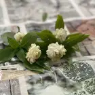 شراء مجموعة إناث كوكتيل جملة