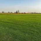 ثيل انجيلة c2000 درجة اولى