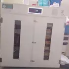 فقاصه بيض 1056