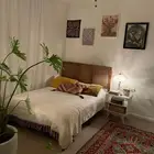 مطلوب أستديو للاجار بعقد بالباطن فقط