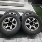 جنوط ونيت