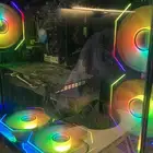 بيسي نظيف جدا وعلى الشرط