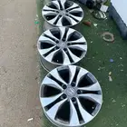 جنوط اكورد وكالة