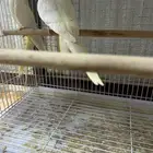 محمية فرح