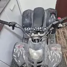 دباب
