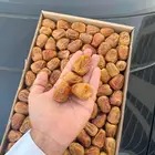 تمر سكري مفتل رقم 1