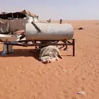 لبيع قلص جنط 14 كفاران ددسن التواصل مع جوال