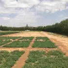 مزرعة للبيع بوادي جليل ..