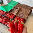 فلفل شفراء ( حبحر )