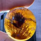 فص عقيق يماني شجري