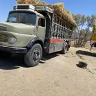 بوز عايدي