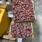 تمر البيض مبروم من وادي أرن
