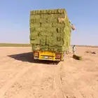 برسيم صافي فاخر