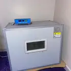 فقاسة عون المربي