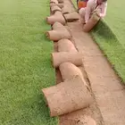 ثيل طبيعي او نجيله مشروطه مضمونه