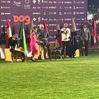 مدرب كلاب