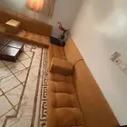 مجلس ارضي
