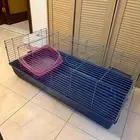 قفص قطط مع لتر بوكس