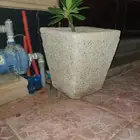 حوض شجر حجري