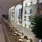 ضيافات رجاليه Vip