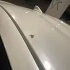 يارس 2018