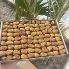 رطب خلاص الخرج وسكري القصيم