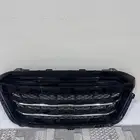 شبك شانجان هنتر