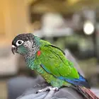 تم البيع
