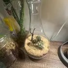 تيراريوم للطلب واتس او