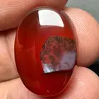 عقيق يماني احمر زجاجي شجري مصور