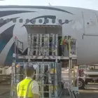 نحل مصري مرزوم