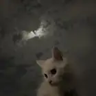 تبني