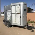 للبيع عربه المانيه راسين نوعيه طيبه ومعروفه
