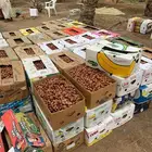 تمر صفاري