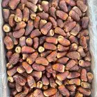 برني العيص الفاخر درجه اولى للبيع من المزرعه