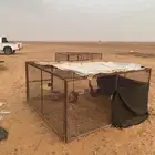 شبك الموقع ابوعجرم