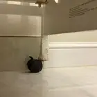 سرير اطفال مستعمل براند جونيور