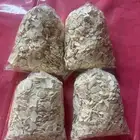 اقط او مضير وسمن بري