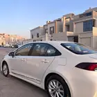 كورلا 2021 نص فل