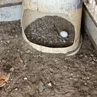 دجاج سبرايت نحاسي