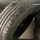 جنوط فورد بوليسي