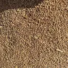 ااعلاف للغنم والابل والبقر والطيور قمح بر ونخاله