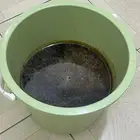 عسل جنوبي نقي مية بالمية