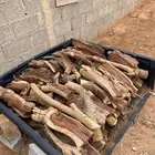 حطب مستورد ممتاز