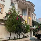 فرصه فله و6شقق ابها الخديله البيع 3مليون و500 الف
