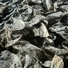 خبز ناشف علف نياق اغنام