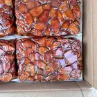 خلاص القصيم الملكي