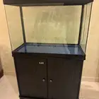 حوض سمك نظيف