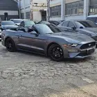 موستنج 2021 كشف